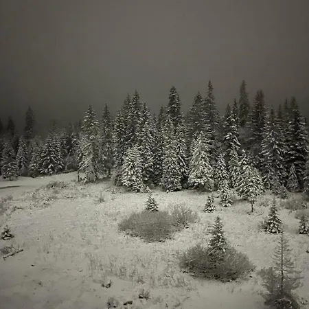 Halilovic L2-18 Jahorina